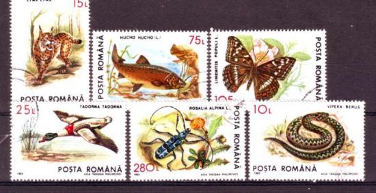 Thema dieren11 Roemenie 