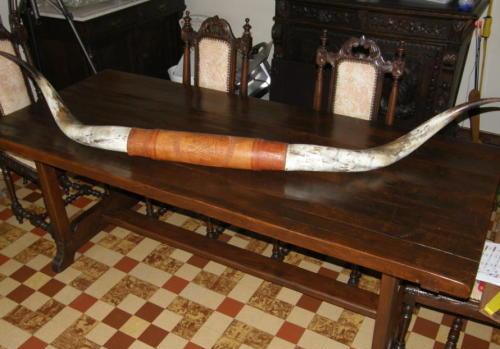HOORN  Bull Horn