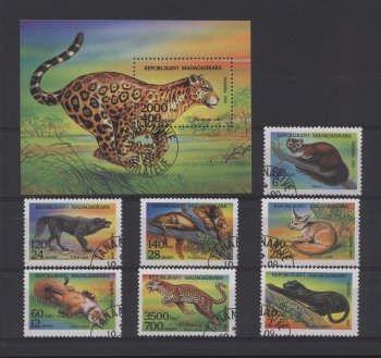 Thema wilde dieren3