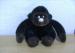 Foto 1 van gorilla