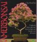 Foto 1 van Kamerbonsai, Chye Hock Tan