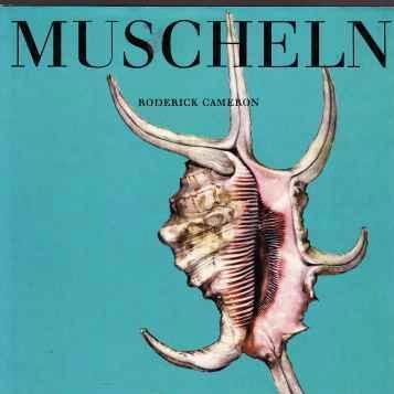 Muscheln