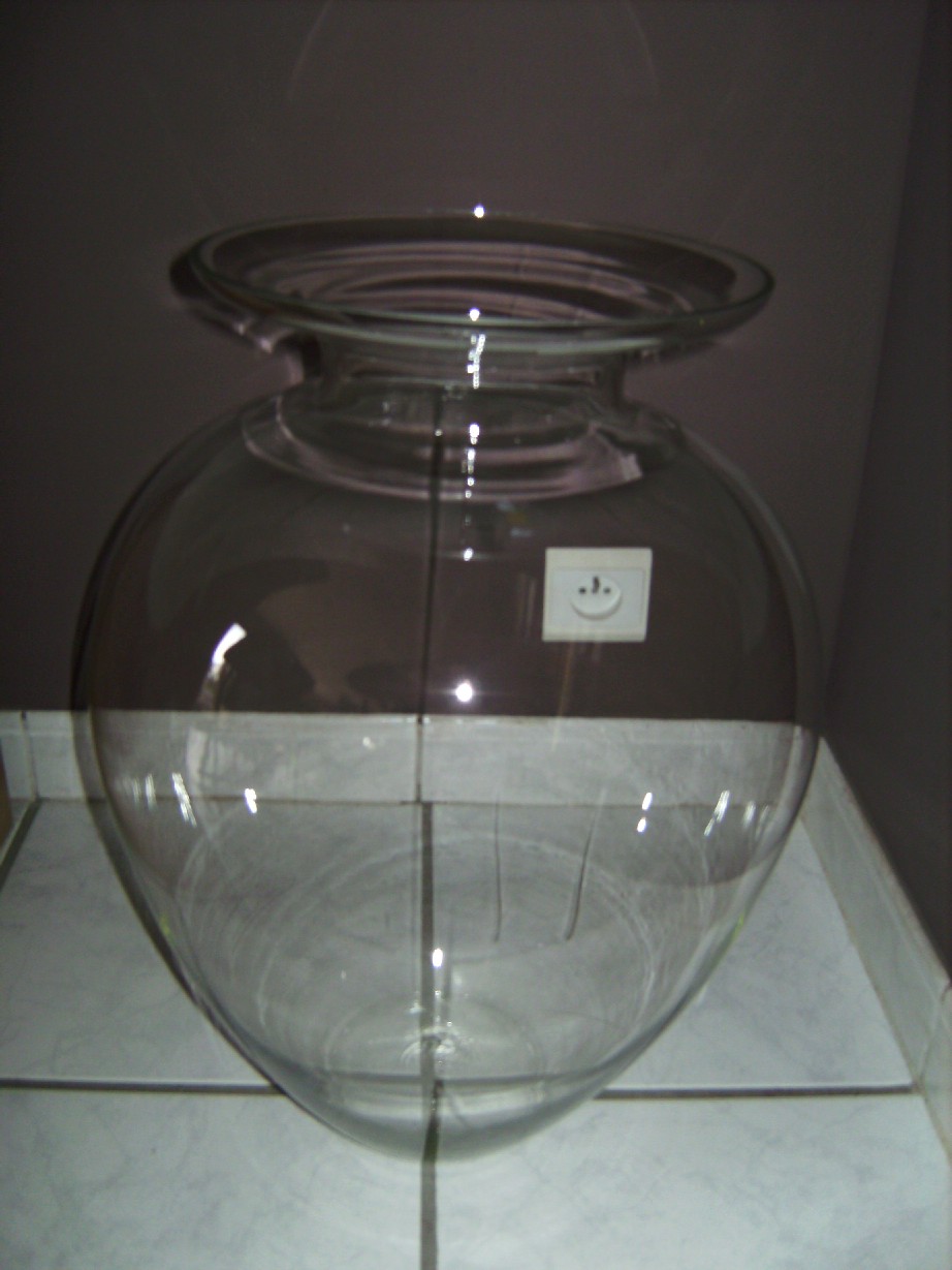 Vaas (ca 50 cm hoog)