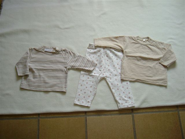 2 t-shirtjes + 1 legging, maat 68 meisjes