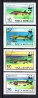 Foto 1 van Thema dieren32 Roemenie WWF 
