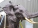 Foto 1 van bronzen olifant