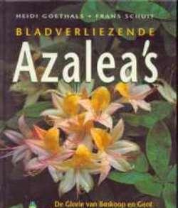 Bladverliezende azalea's