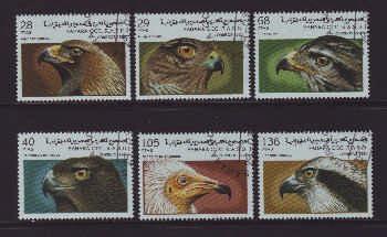 Thema vogels2 