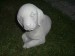 Foto 1 van Tuinbeelden Betonnen Klein hondje 