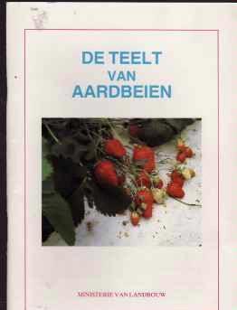 De teelt van aardbeien,