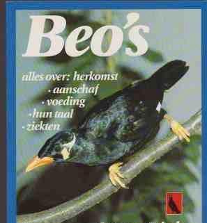 Beo's