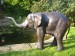 Foto 3 van bronzen baby olifant