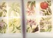 Foto 1 van Tuinboek voor de tropen  ( L.Bruggeman )