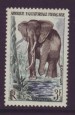 Foto 1 van Olifant Afrique occidentale 