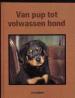 Foto 1 van Van pup tot volwassen hond, Jo Lubbers