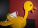 Foto 4 van verlichting voor kinderkamer