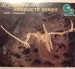 Foto 1 van 3D-Kit Model Dinosaurus Pteranodon houten speelgoed