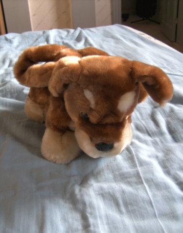 tasje hond