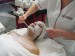 Foto 2 van Dermalogica Gelaatsbehandelingen