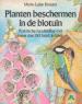 Foto 1 van Planten beschermen in de biotuin,