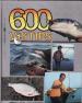 Foto 1 van 600 vistips,