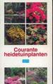 Foto 1 van Courante heidetuinplanten, Cera