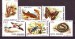 Foto 1 van Thema dieren11 Roemenie 