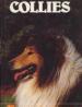 Foto 1 van Collies, onze hond handboek