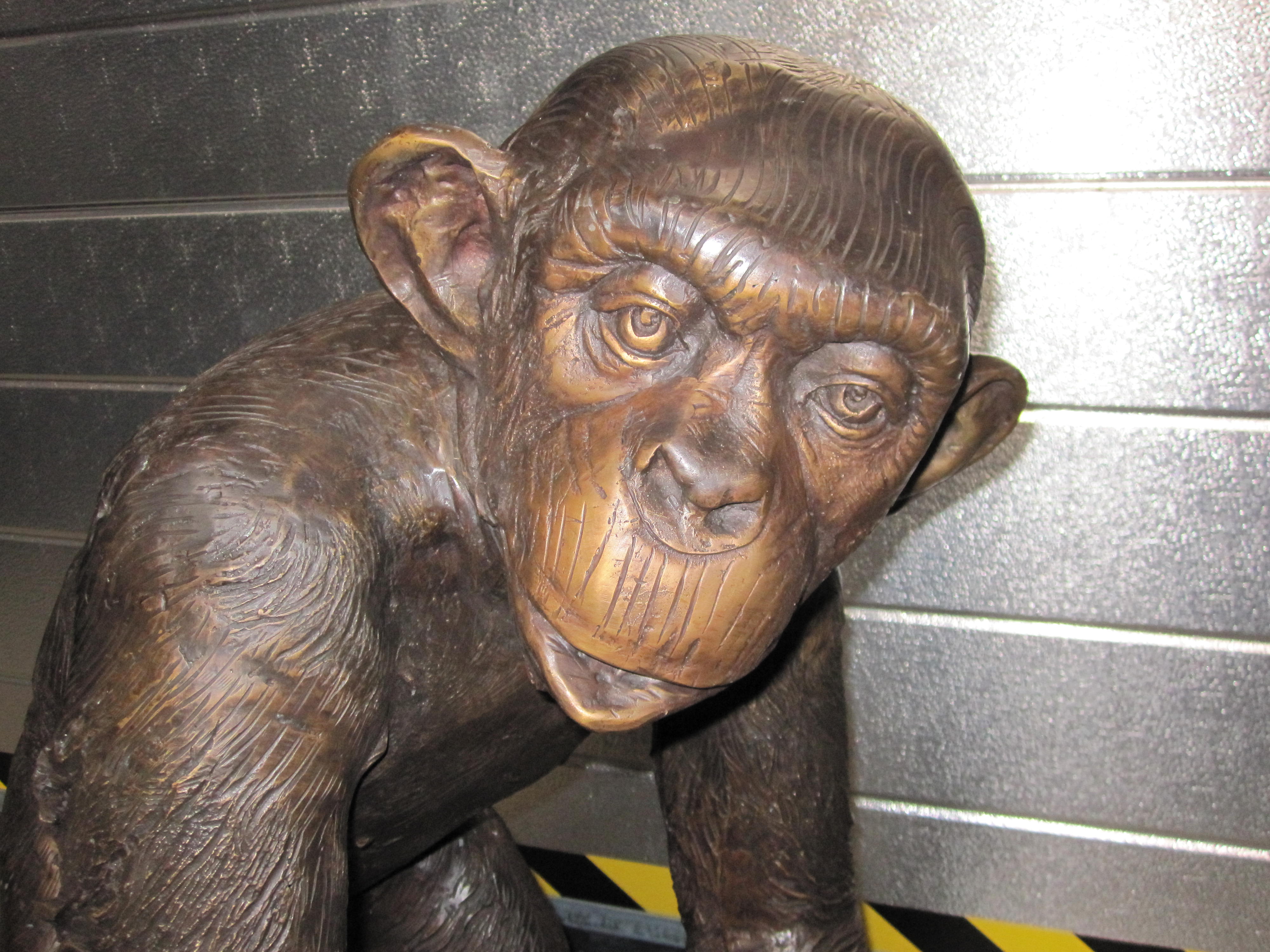 bronzen chimpansee