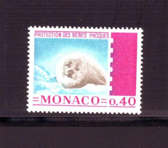 Monaco thema zeehonden 