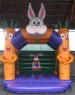 Foto 4 van springkastelen west vlaanderen 