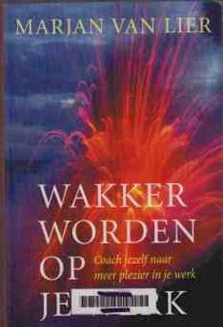 Wakker worden op je werk, Marjan Van Lier