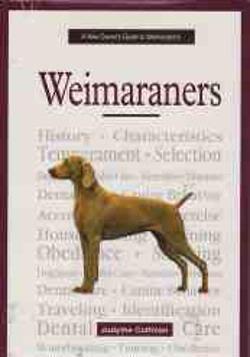 Weimaraner, Judythe Coffman