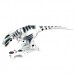 Foto 1 van WOWWEE Robotics RoboRaptor Wit RC dinosaurus