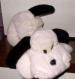Foto 1 van Wit liggend hondje