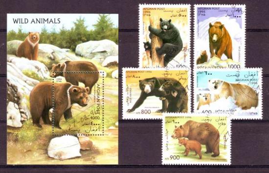 Thema dieren25 Afghanistan 