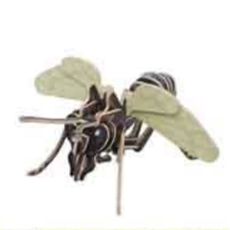 3D-Kit steekmodel Insect Wesp - Houten speelgoed