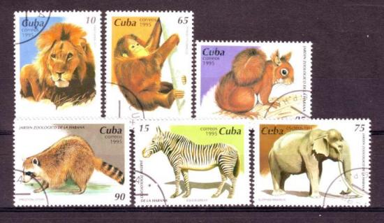 Thema dieren14 Cuba 