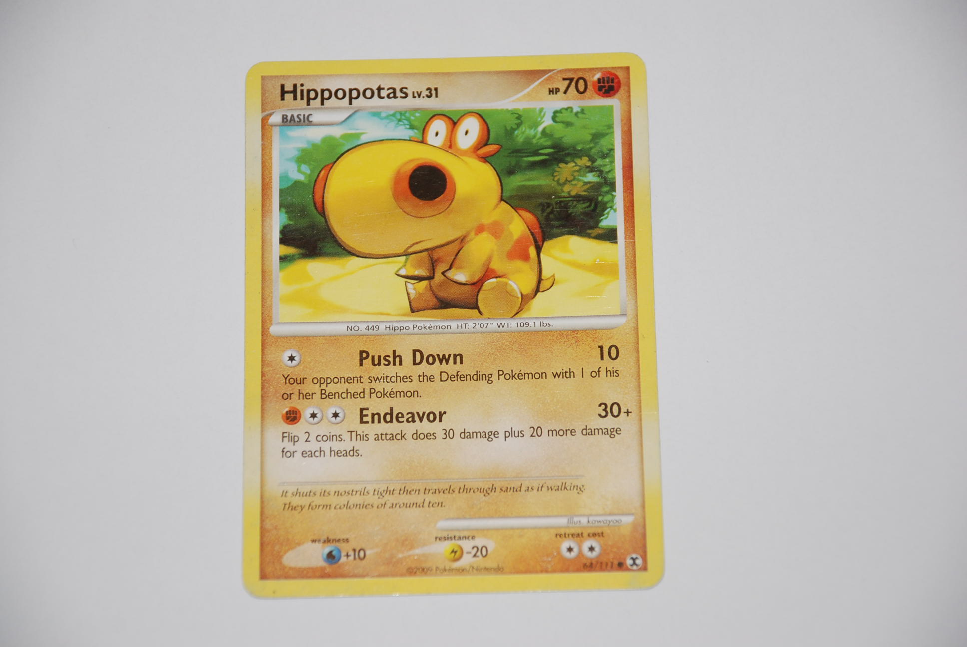 pokemon kaart Hippopotas lv 31 