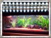 Foto 2 van Aquarium Led verlichting ledstrips Ledstrip 24/48/95/120 CM