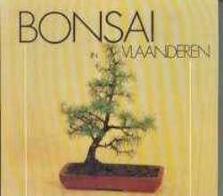 Bonsai in Vlaanderen