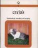 Foto 1 van Cavia's, nr. 5