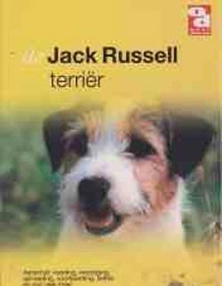 De Jack Russell Terriër
