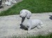 Foto 1 van Tuinbeeld Tekkel hond 
