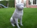 Foto 4 van Tuinbeelden rotweiler 