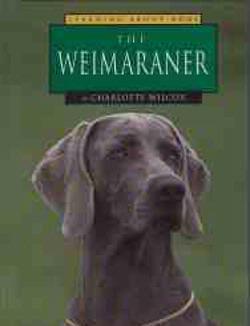 The weimaraner, Charlotte Wilcox