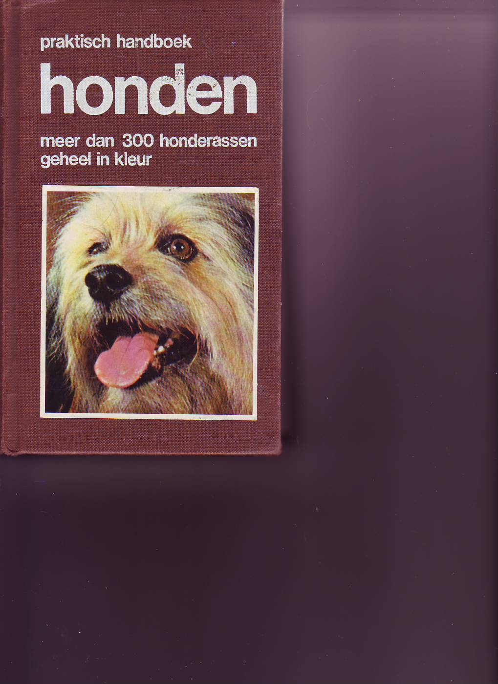 Praktisch handboek honden (Gino Pugnetti )