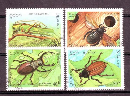 Thema dieren24 Laos 