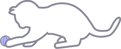 Gedragstherapie voor katten