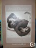 Foto 3 van Puzzels Anne Geddes
